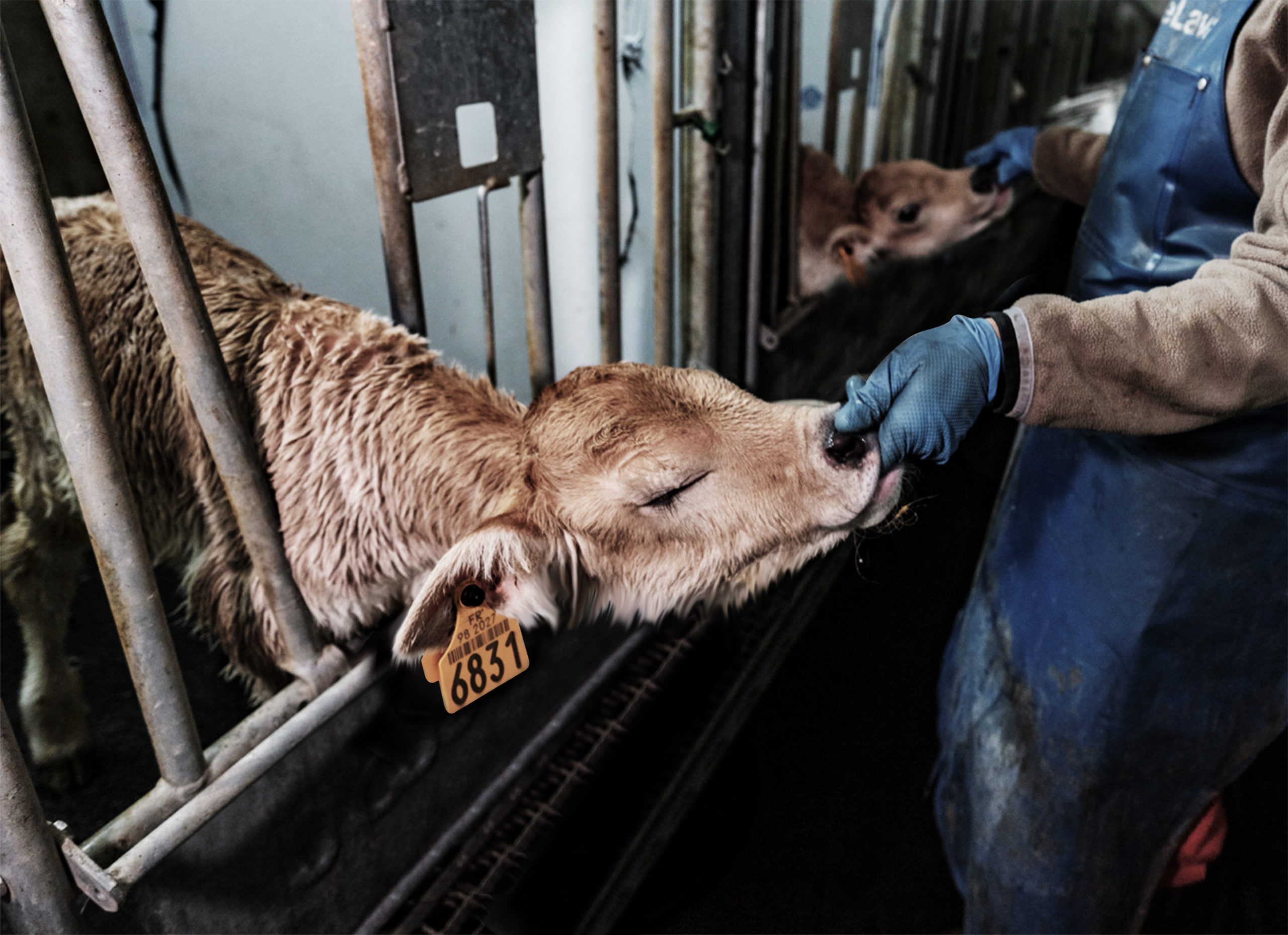 Coopérative agricole